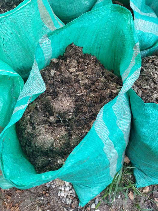 Czysty obornik koński naturalny najlepszy nawóz - workowany