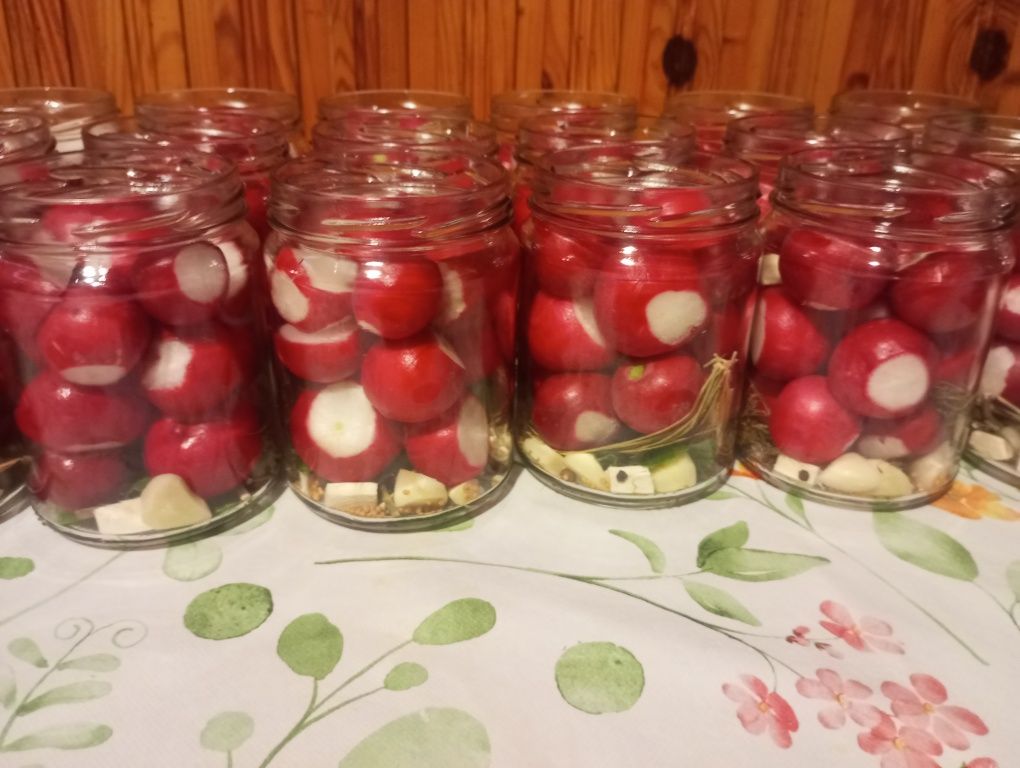 Naturalnie Kiszona Rzodkiewka, Kiszonki 2025