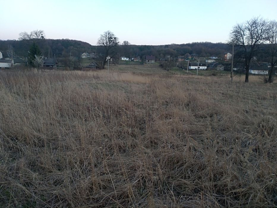 Продається земельна ділянка в с. Верещиця