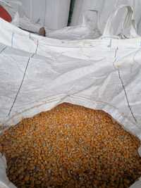 Kukurydza ziarno sucha w  big bag