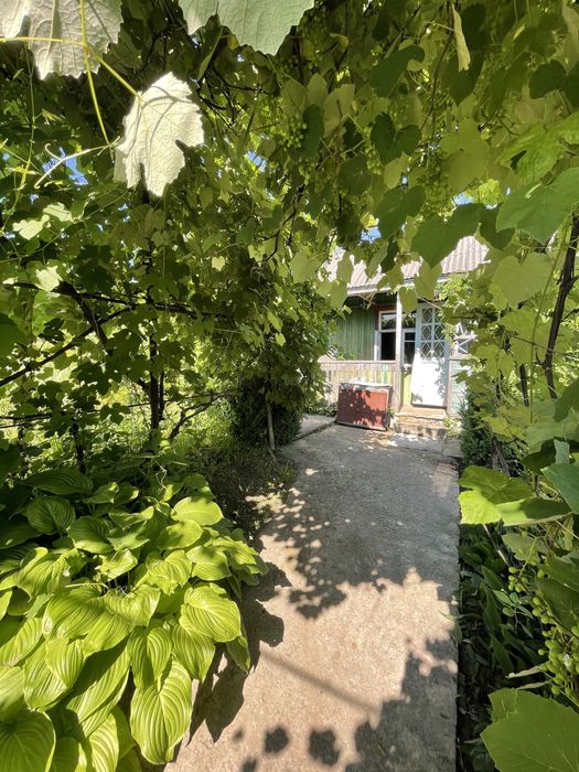 Продам дачу в Канівському заповіднику