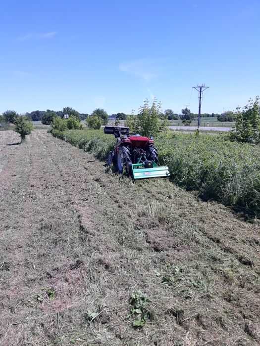 Uslugi ogrodnicze.glebogryzarka separacyjna,kosiarka bijakowa,