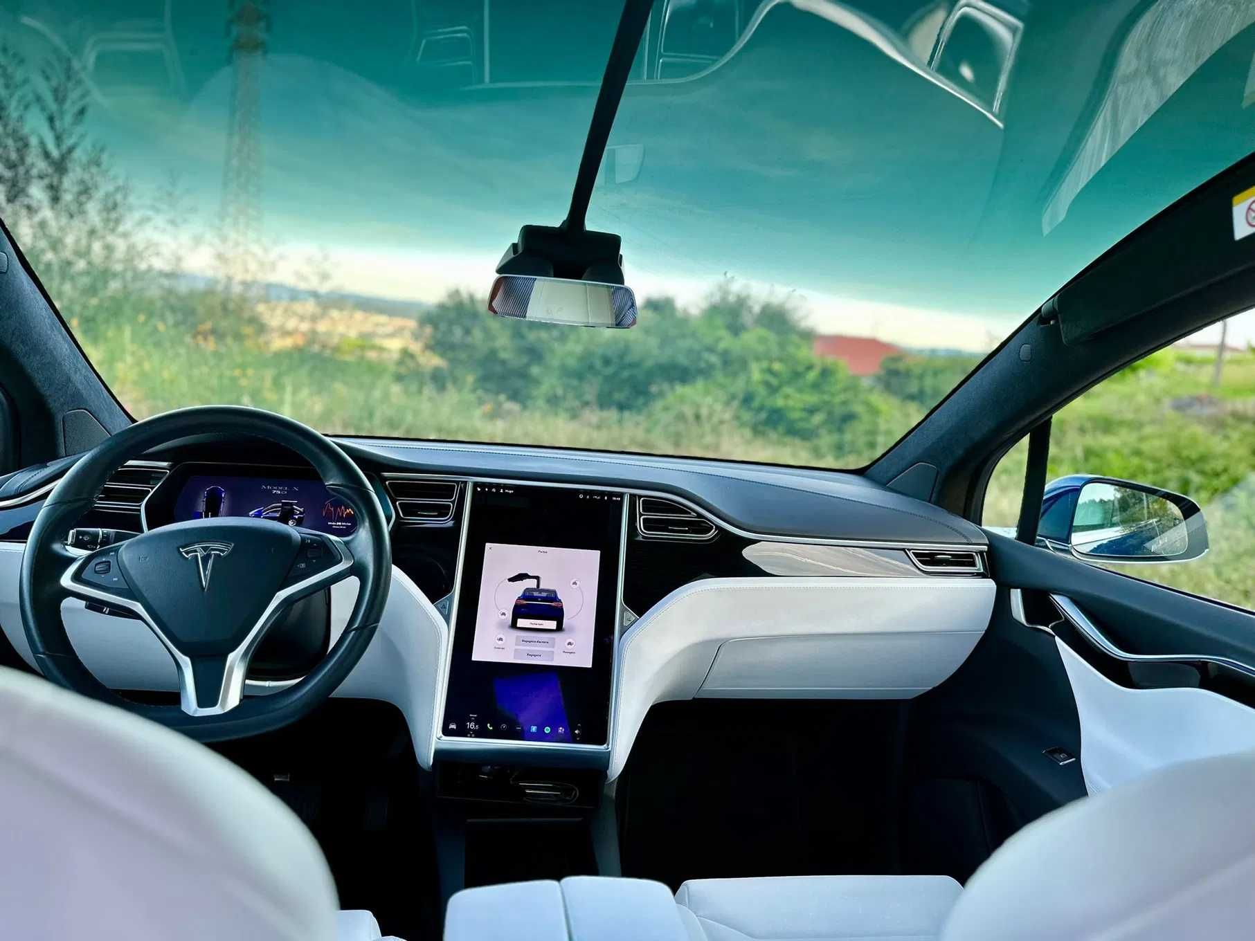 Tesla Model X 75 D - 18