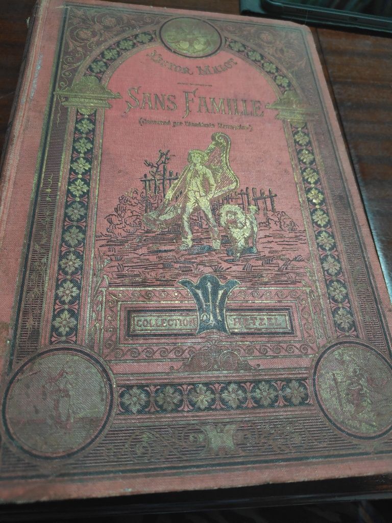 Sans Famille livro francês