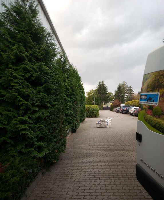 Kompleksowe usługi ogrodnicze-Zewnętrzne utrzymanie obiektów