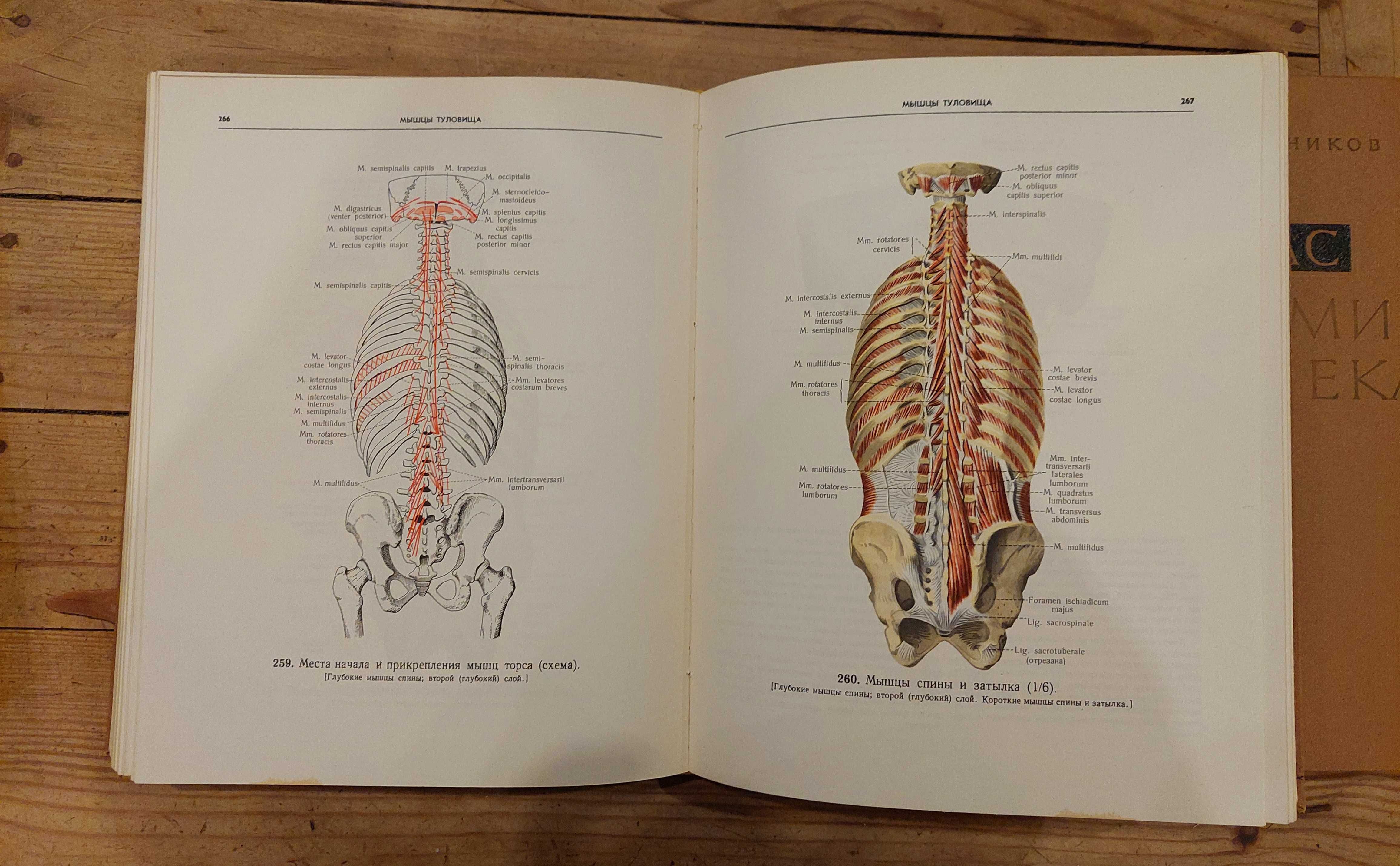 Atlas anatomii człowieka (trzy tomy), R.D. Sinielnikow