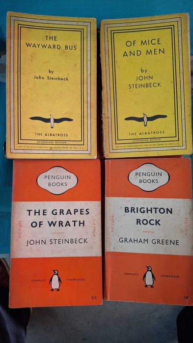 Livros de ficção em Inglês