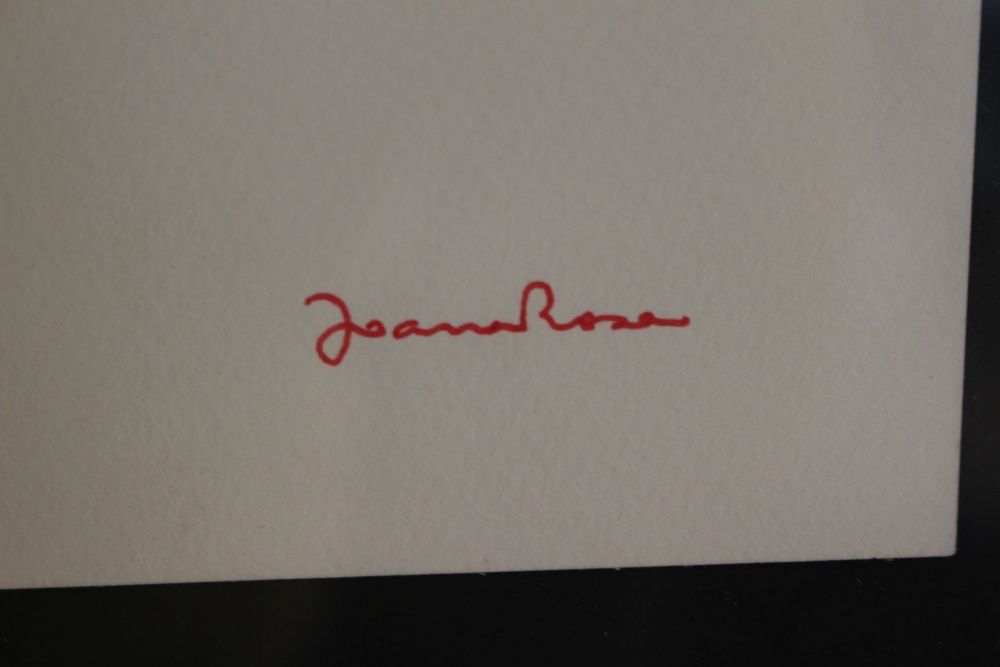 Pintura Joana Rosa Original Caneta s Papel "Flamengo" 53 x 43 cm