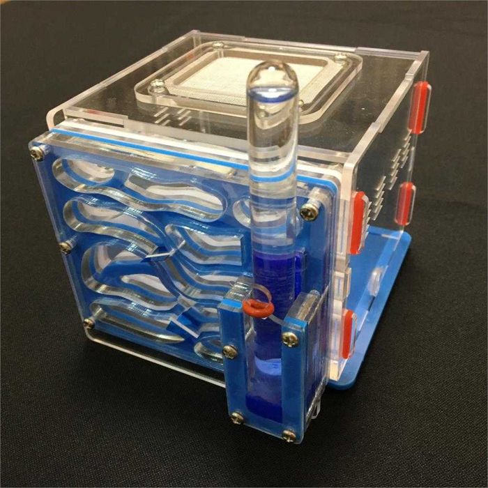 Formicário Ant Farm Formicarium formigas estimação com bebedouro NOVO