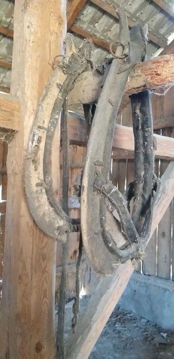 Homonto dla konia drewniane