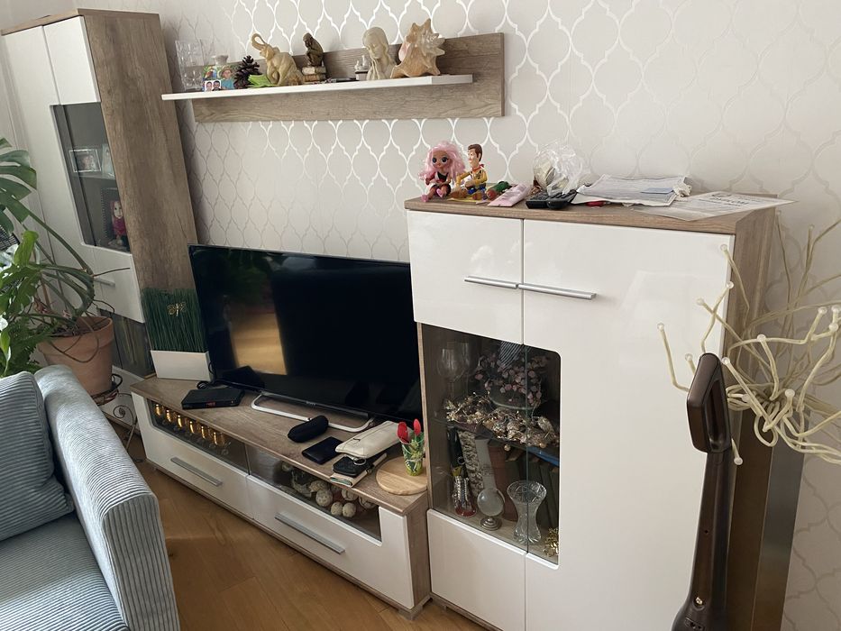 Mebloscianka pokojowa