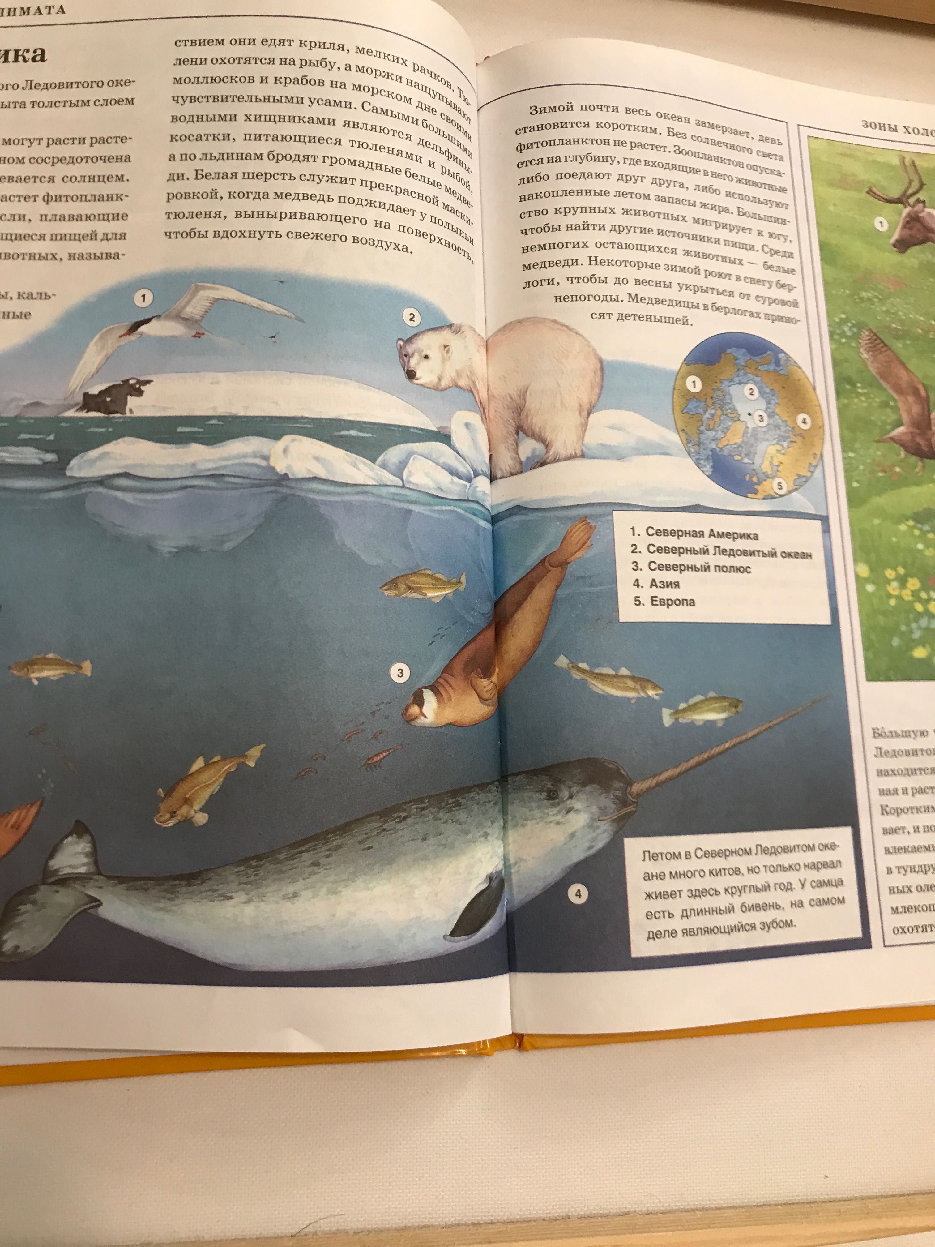 Книги Иллюстрированная энциклопедия для детей