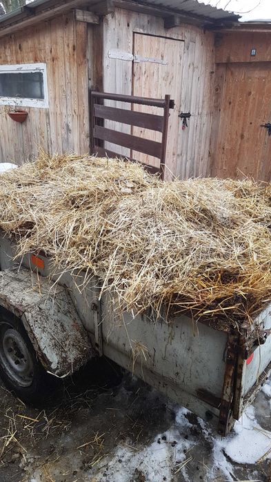 Obornik do ogródka, pod warzywa