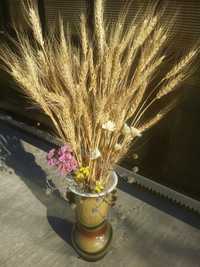 Колоски пшениця колосья жито рожь пшеница овес ячмень сухоцвіти декор.