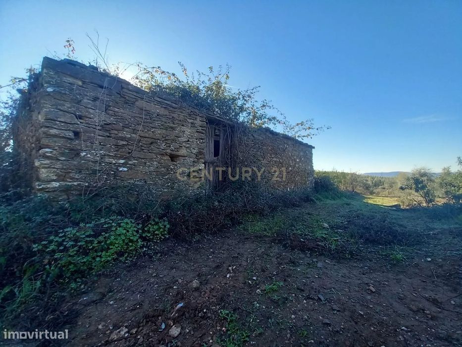 Quintinha com 15.540m2 Sarnadas de Ródão
