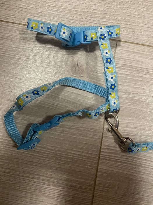 Шлея и поводок для маленькой собачки