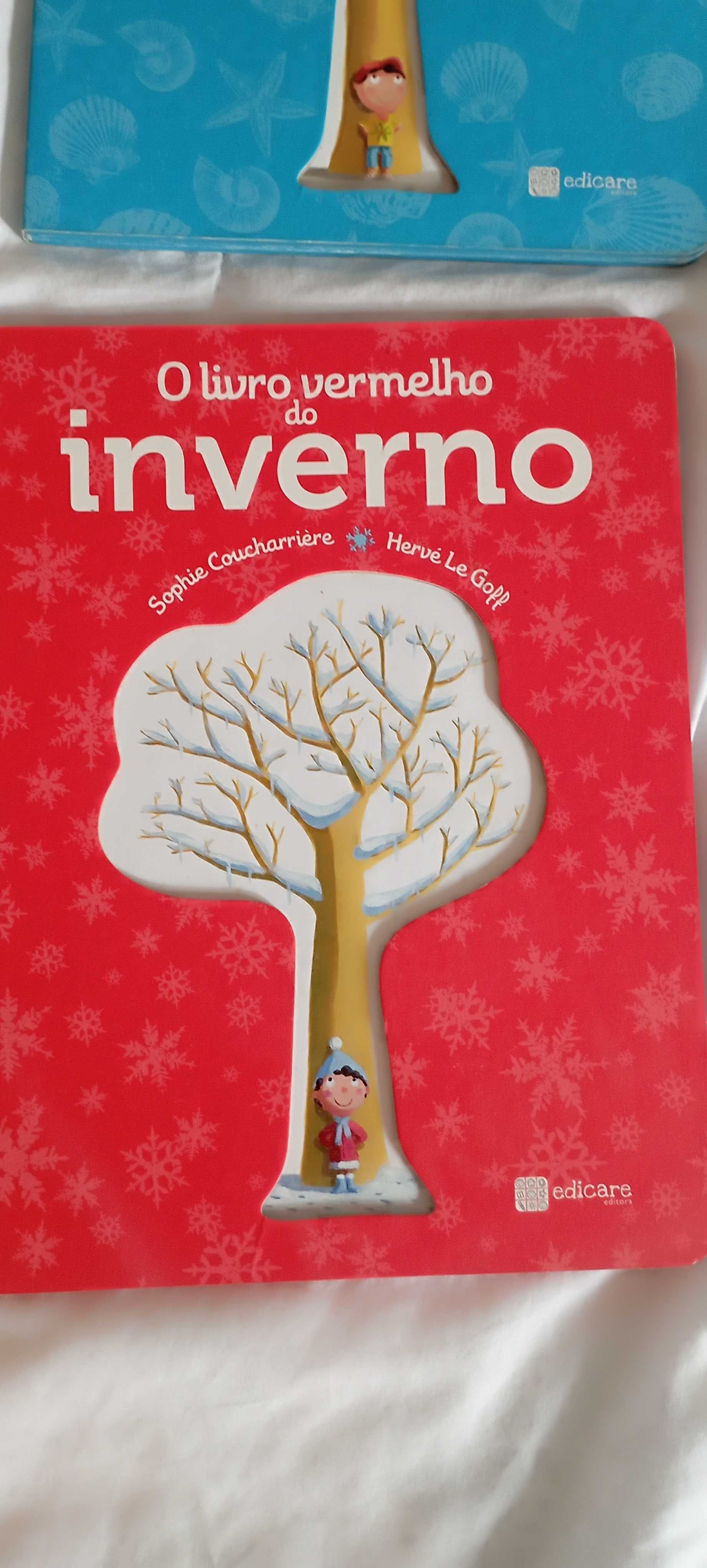 Estações do ano - 2 livros - Primavera e Inverno - da Coleção Edicare