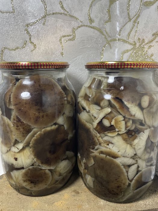 Опеньки мариновані