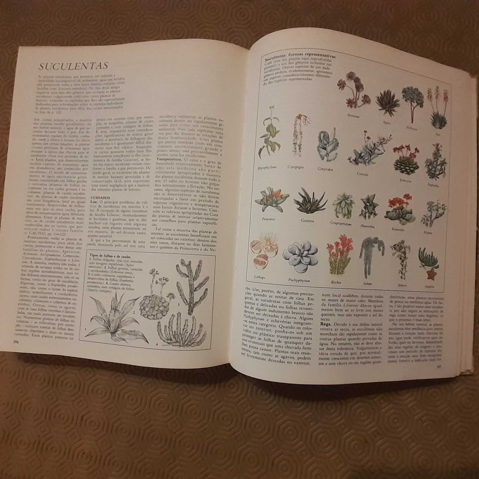 O Grande Livro das Plantas de Interior