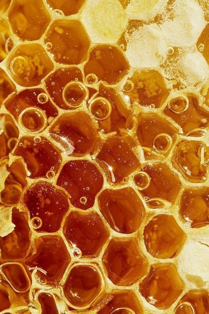 Мед з власної пасіки