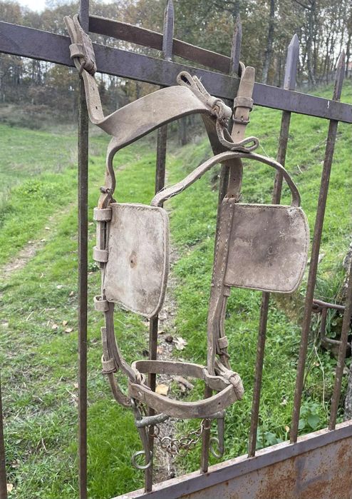 Vendo freio de cavalos ou burros