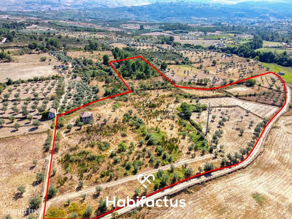 Quinta Rústica com Moradia em Pedra em Vila Cortês da Serra