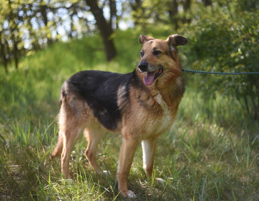 Sylwek czeka na wystrzałowego opiekuna