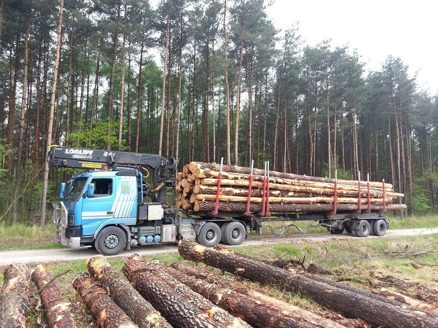 Drewno opałowe, kominkowe, Przy zamówieniu  30mp oflisow  możliwość ne