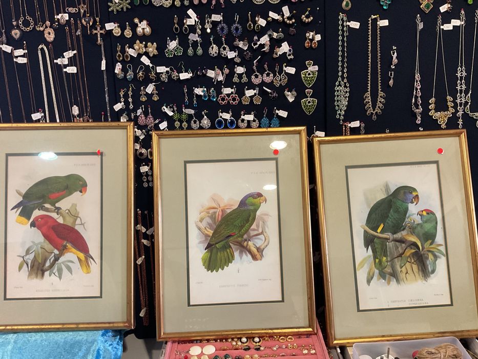 Quadros aves tropicais em Ramos.