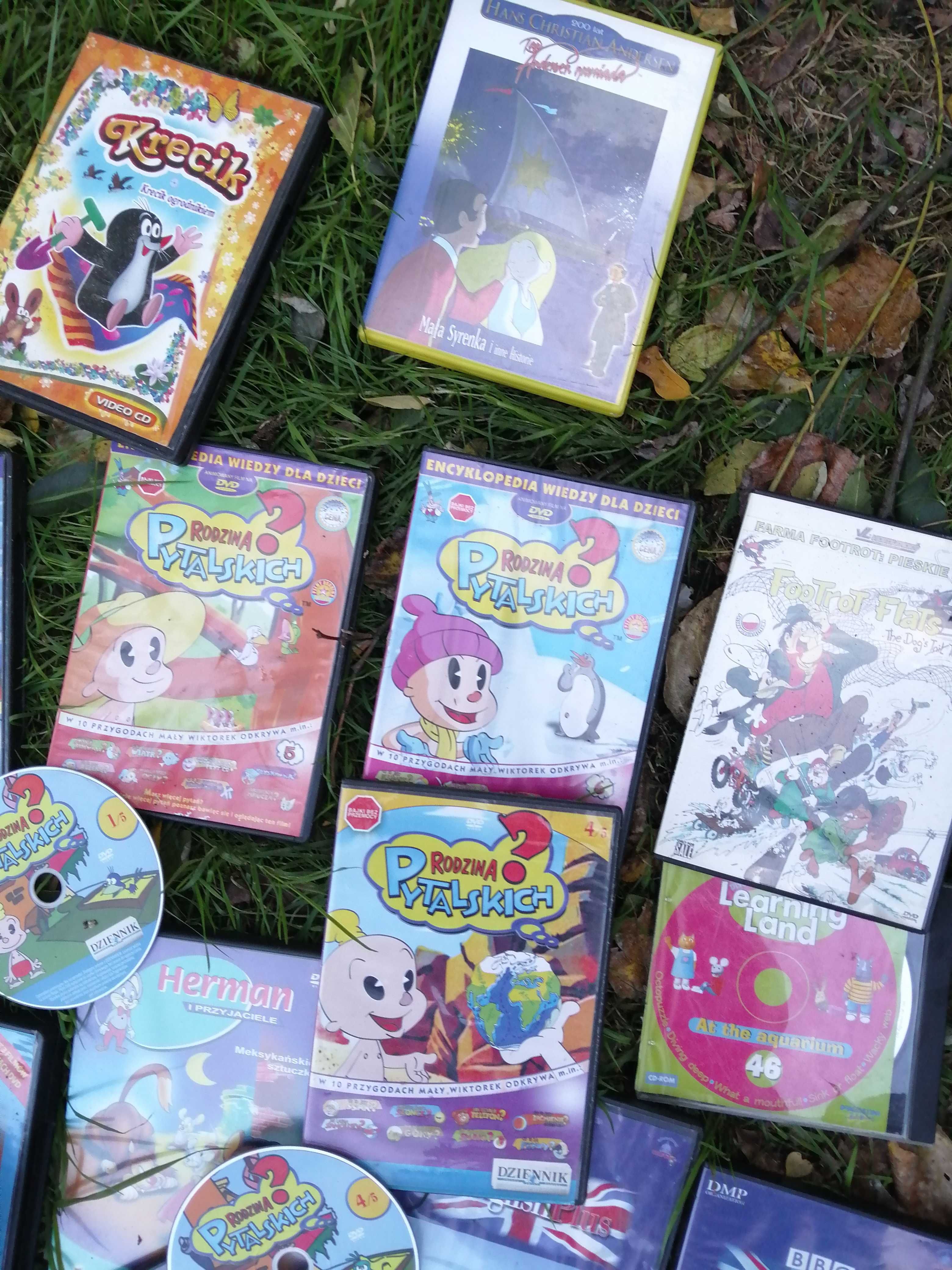 Duży zestaw płyt Dvd bajki Pytalscy 60 Miś Shrek dla dzieci