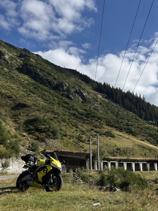 Aprilia RS 660 Acid Gold