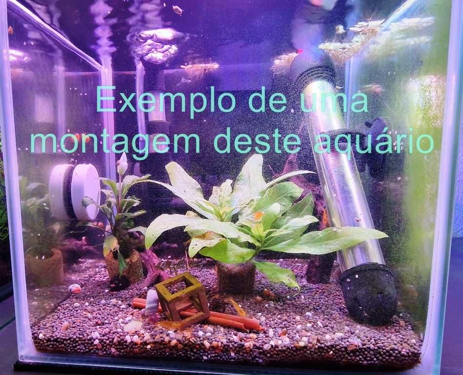 Aquário com tapete, filtro, aquecedor e tampa