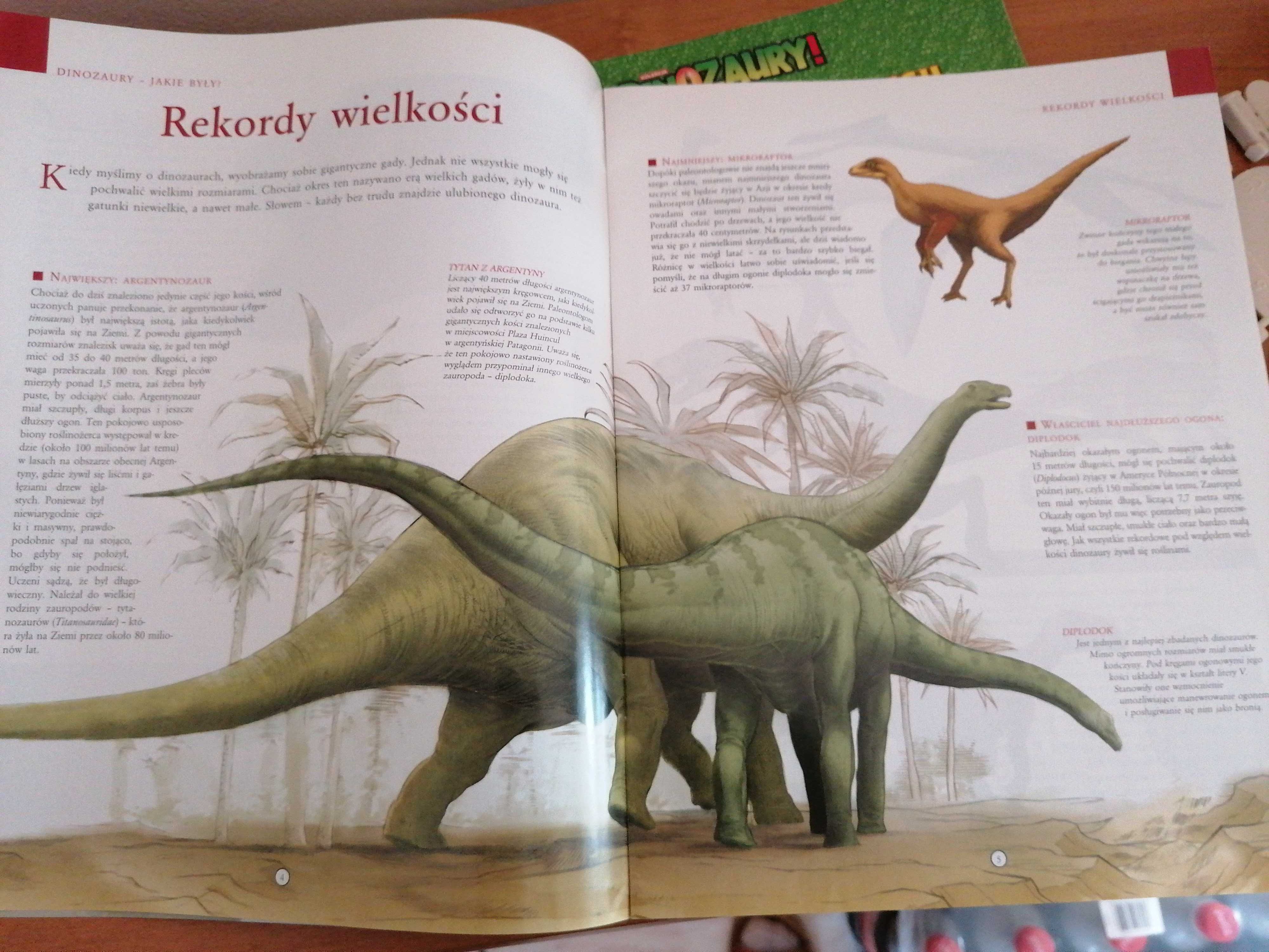 Dinozaury, replika szczęki T-Rexa + gazetki