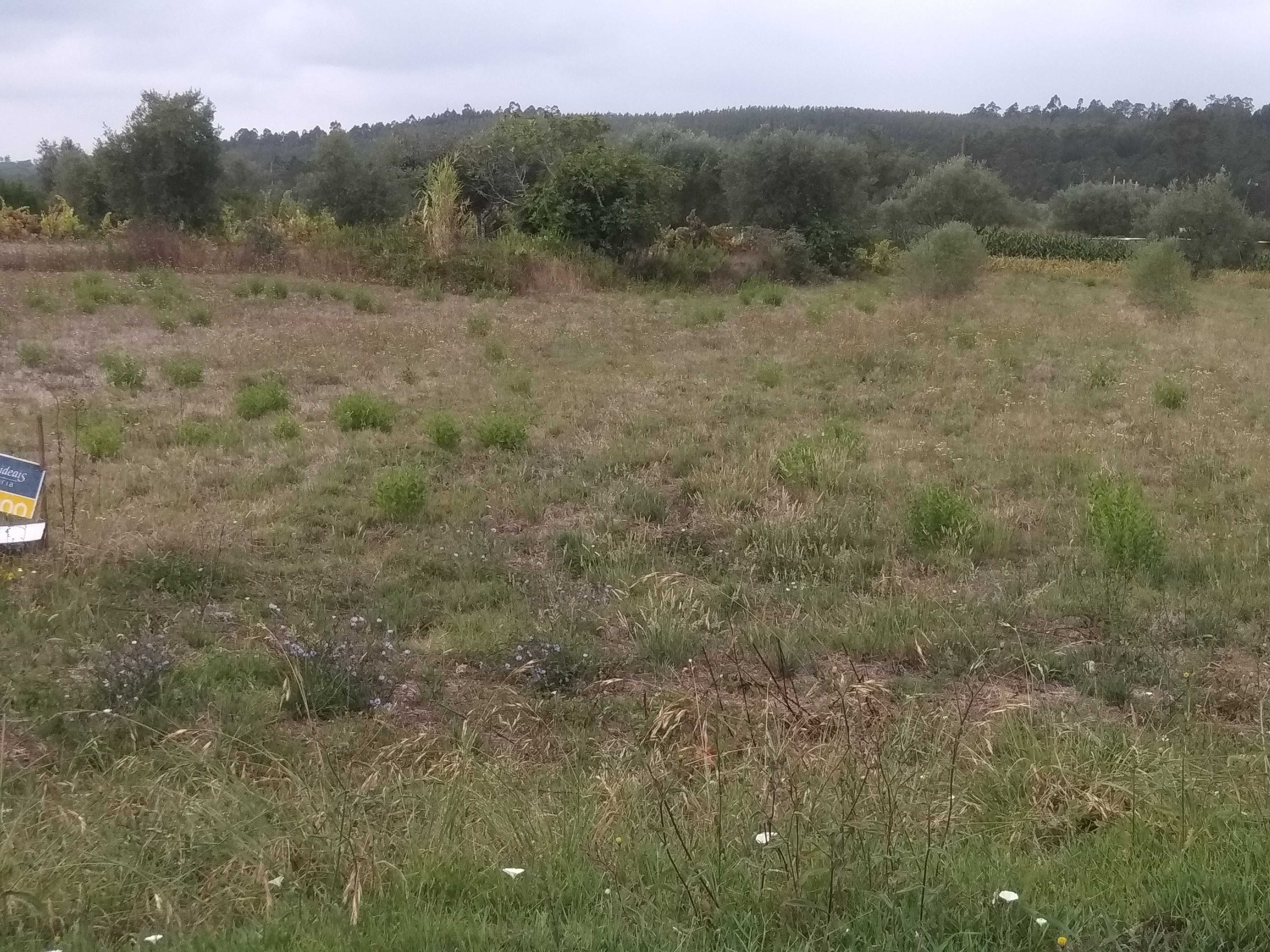Terreno para venda entre Condeixa e Soure
