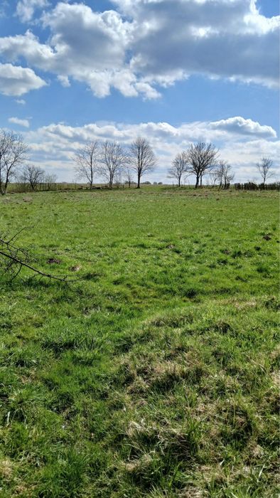 Продаж будинку с.Болехівці