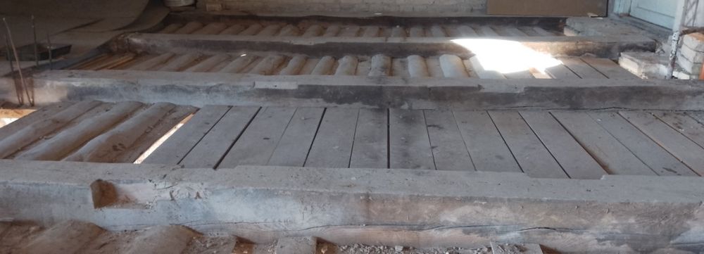 Stare drzewo,legary drewniane .