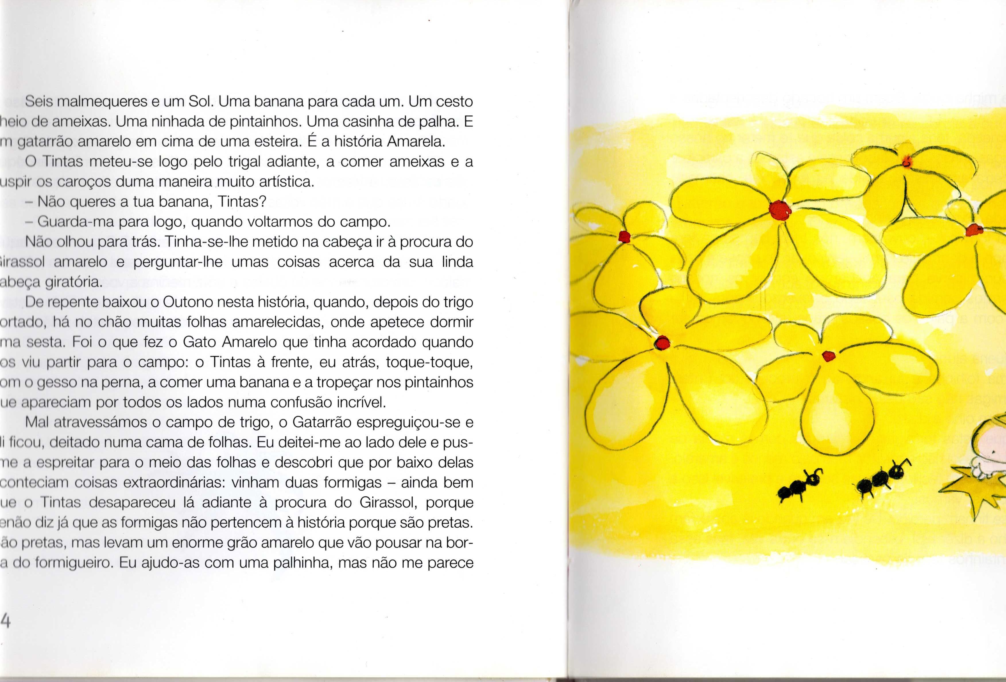 "História de muitas cores" - Rosa Lobato de Faria