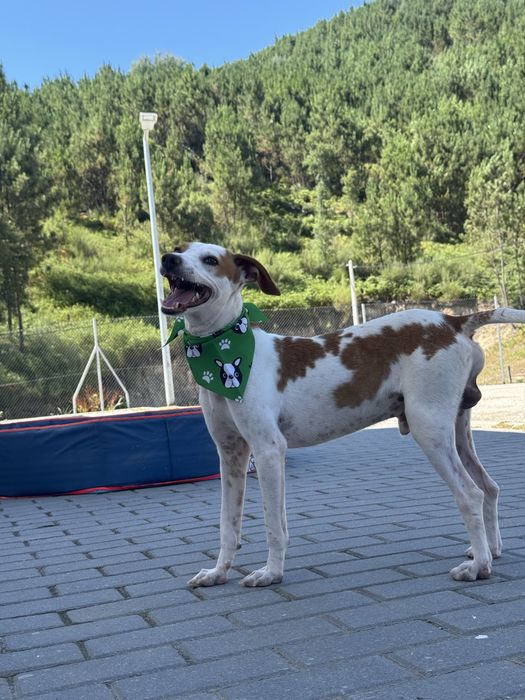 Otávio - 3 anos, 10kg