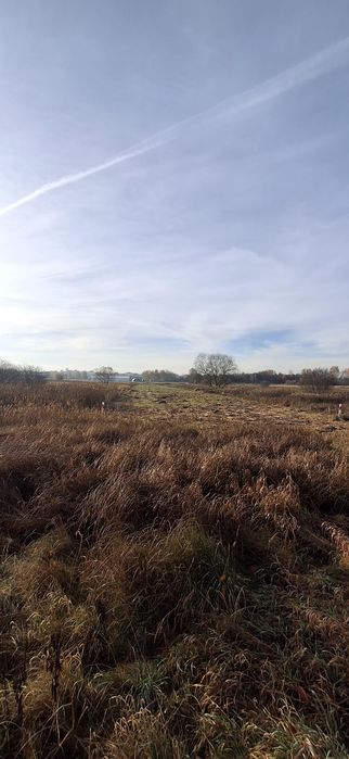 Działka rolna 0,2219 ha Sączów.  Śląskie