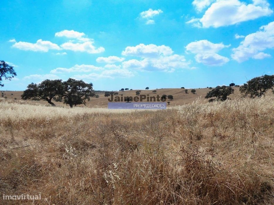 Herdade 162,5ha no Alentejo. Portugal, Beja, Almodôvar