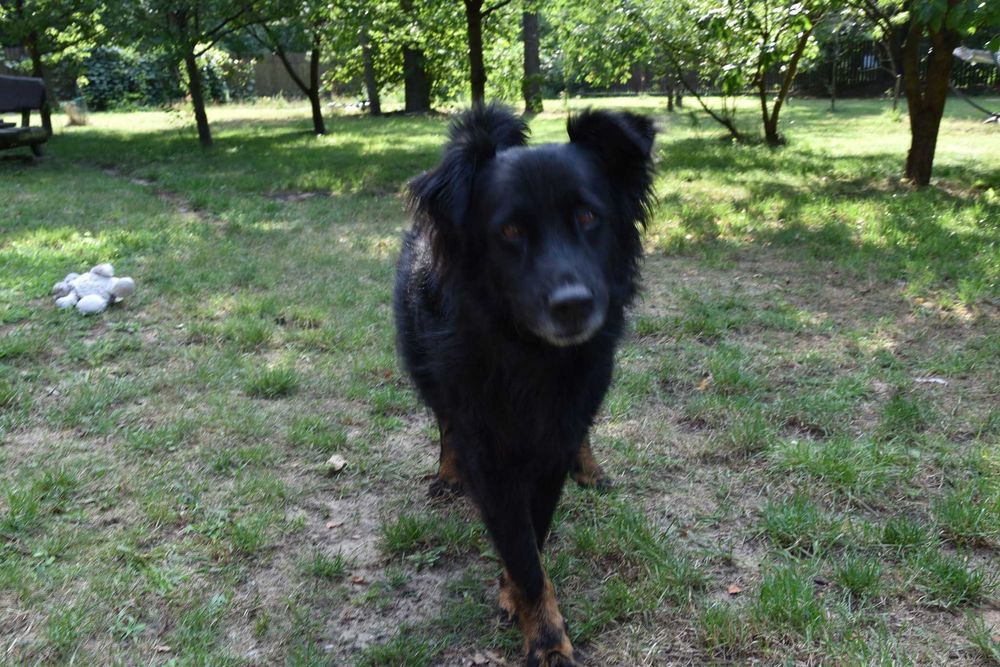 Ona i On,  żyć bez siebie nie mogą. Szukamy wspólnego domu