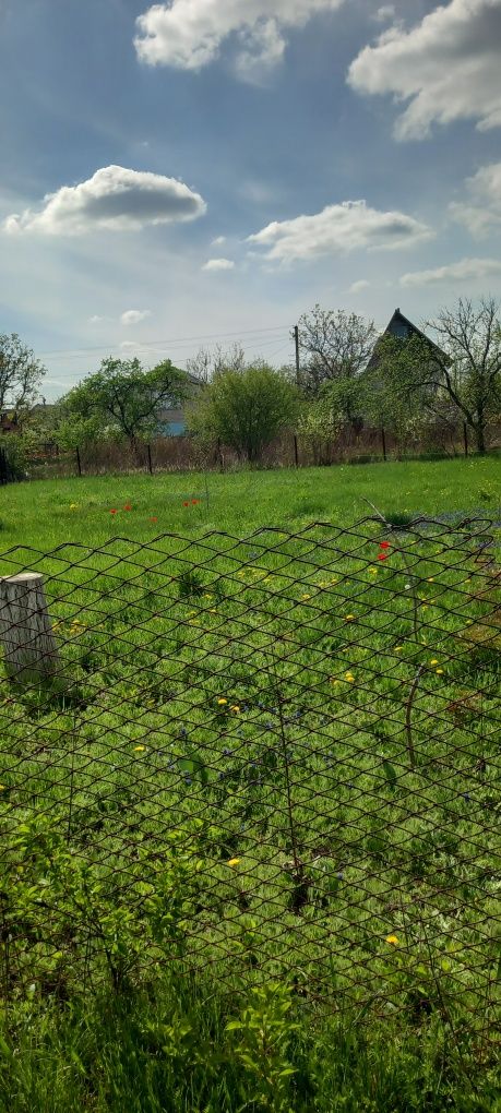 Дачну земельну ділянку  в центрі