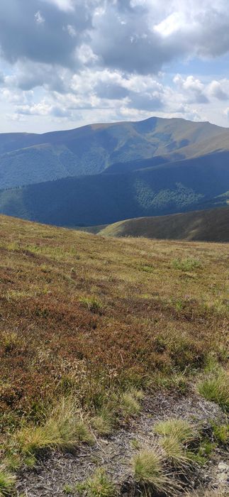 Земельна ділянка