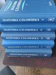 Bochenek anatomia I - V komplet