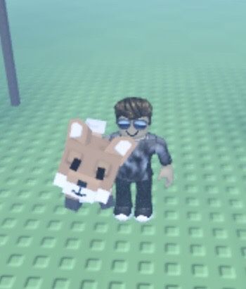 Продам петів pets Grow a Garden лисиці грифон