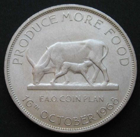 Uganda 5 shilling 1968 - FAO - krowa - stan 1/2