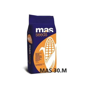 Nasiona kukurydzy kukurydza Mas 30.M Darmowa wysyłka (14+1)