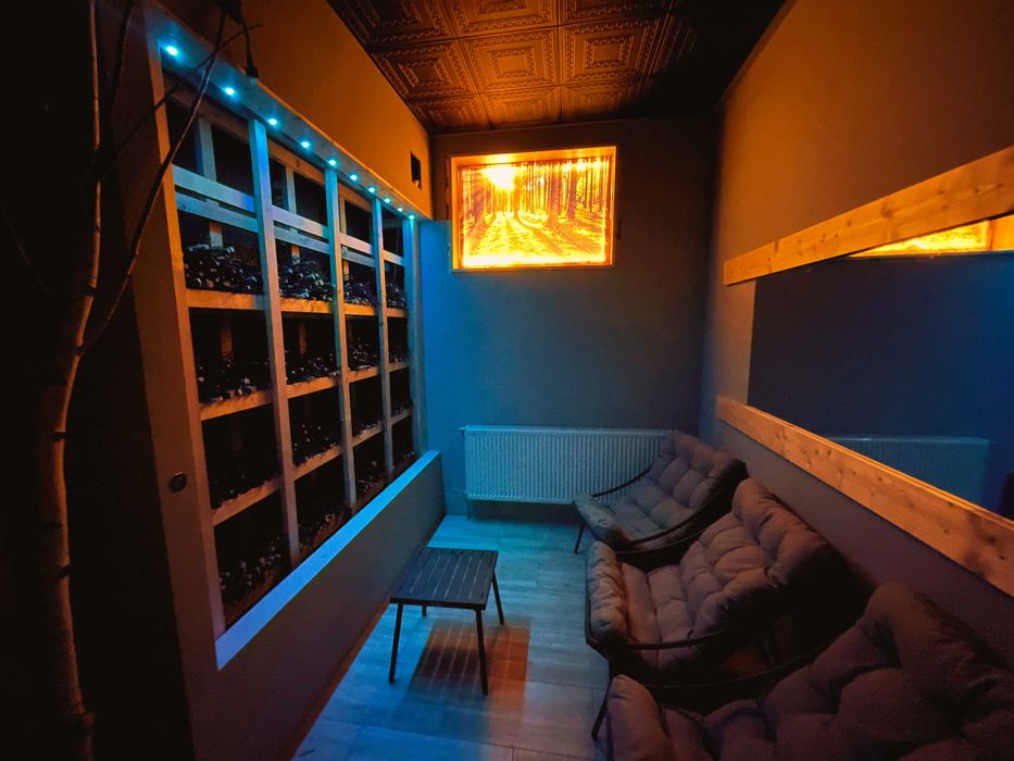 Good Night Noclegi & BSR.Lipowska Strefa relaksu