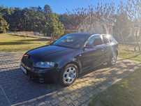 Audi A3 2004 3-drzwiowy silnik 1.6 MPI idealny pod LPG