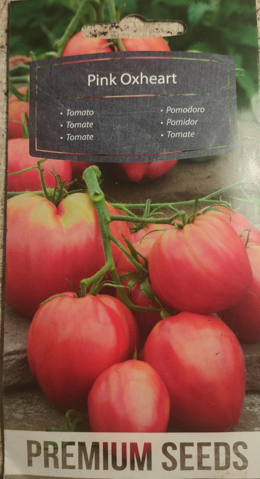 Rozsada pomidora